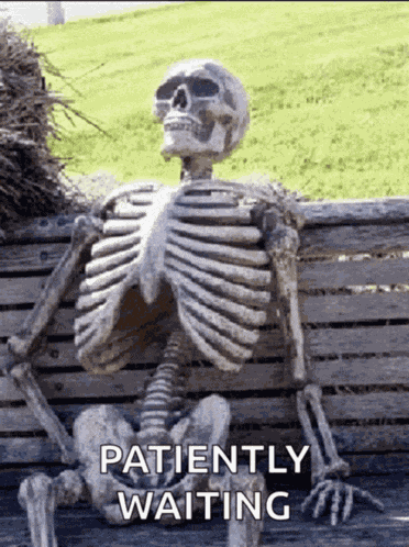 Skeleton Waiting Waiting Meme