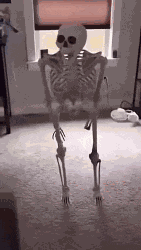 Skeletoncrazy GIF