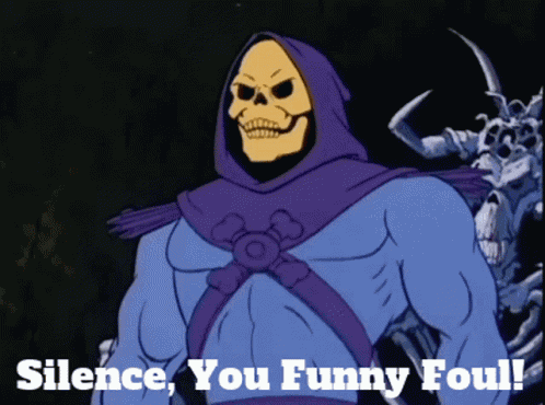 Skeletor Silence You Funny Foul GIF