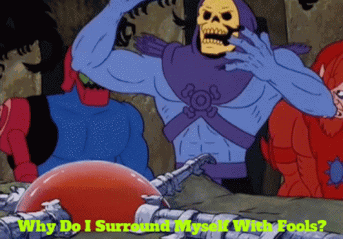 Skeletor Why Do I Surround Myself With Fools GIF