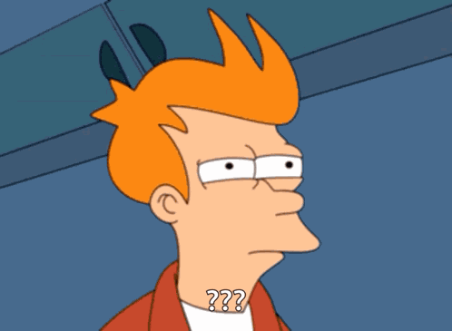 Skeptical Futurama GIF