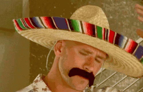 Skofqq GIF