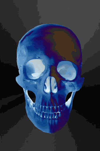Skull Blue GIF