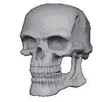 Skull Skull Emoji Sticker