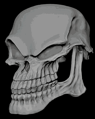 Skull Skull Meme GIF