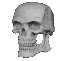 Skull Skull Meme Sticker