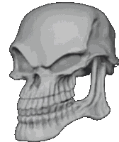 Skull Sticker