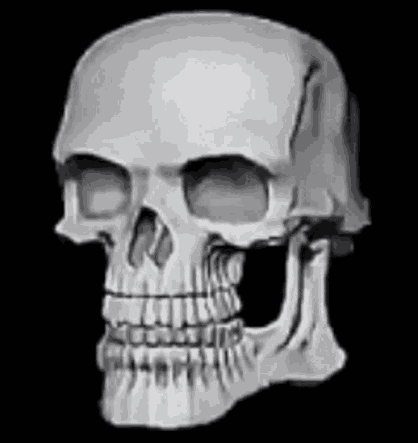 Skull GIF