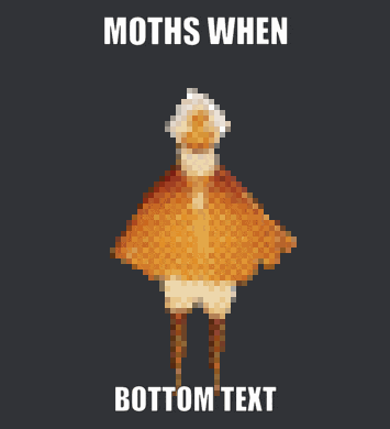 Sky Cotl Moth GIF