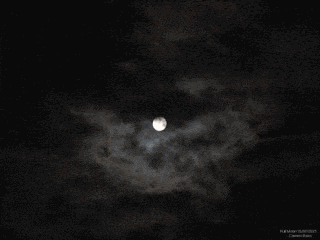 Sky Mmon GIF