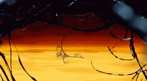 Skystars Starry Night GIF