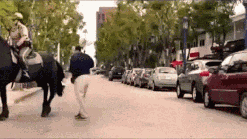 Slap Horse Kick Back GIF