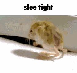 Slee Tight Goo Night GIF