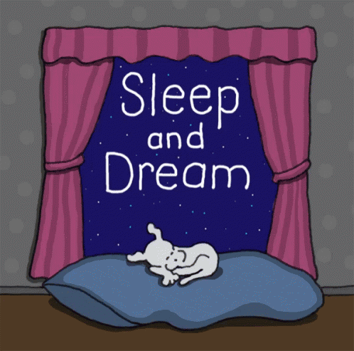Sleep And Dream Goodnight GIF