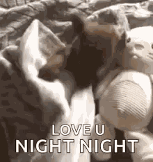 Sleep Go To Sleep GIF