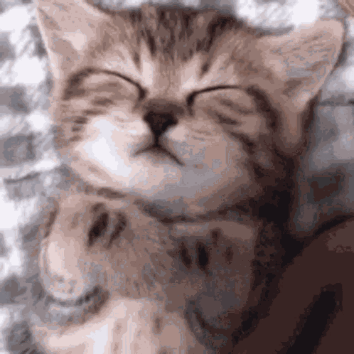 Sleep GIF