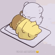 Sleep Sleeping Couple GIF