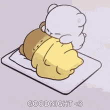 Sleep Sleeping Couple GIF