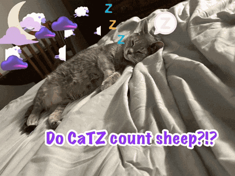 Sleep Well Cats GIF
