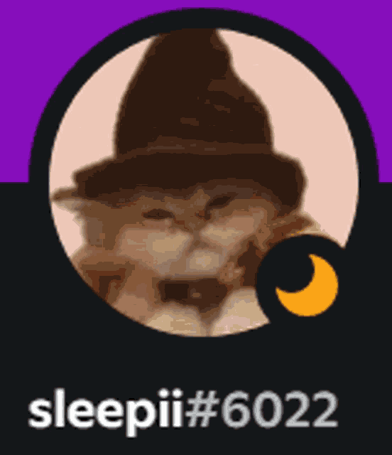 Sleepii Teminite Meme