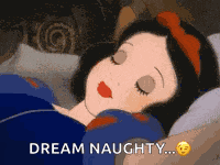 Sleeping Beauty Princess Sleeping GIF