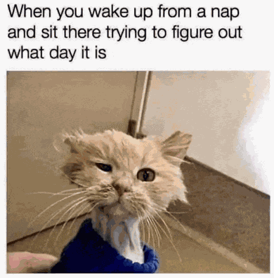 Sleeping Nap Meme