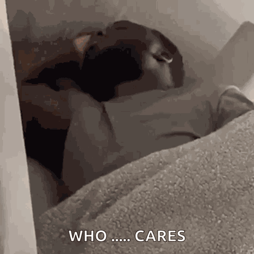 Sleeping Wake Up GIF