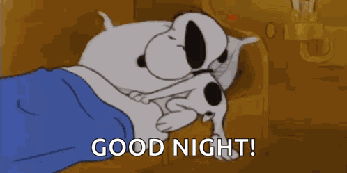 Sleepy Asleep GIF