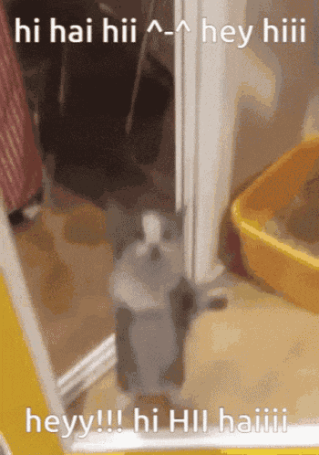 Sleepy Cat GIF