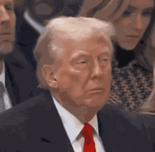 Sleepy Nap GIF