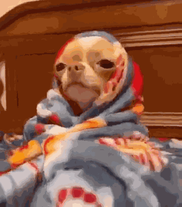 Sleepy Sleeping GIF