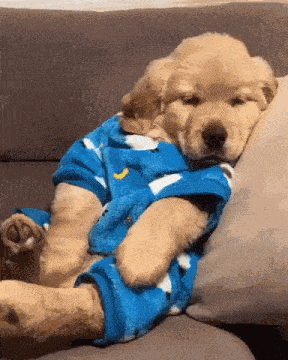 Sleepy Sleepy Head GIF