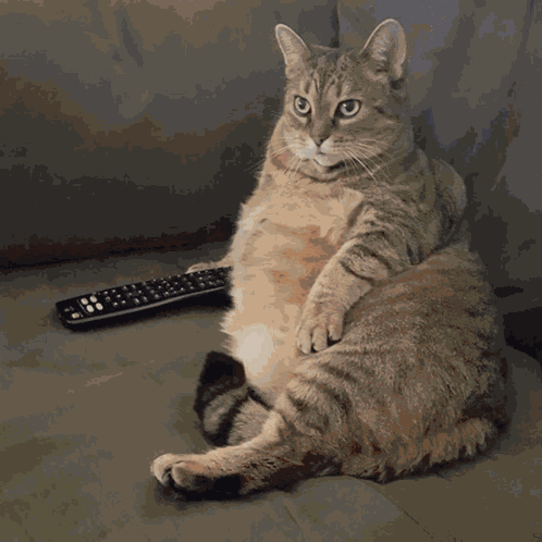 Sleepy Sonnolenza GIF