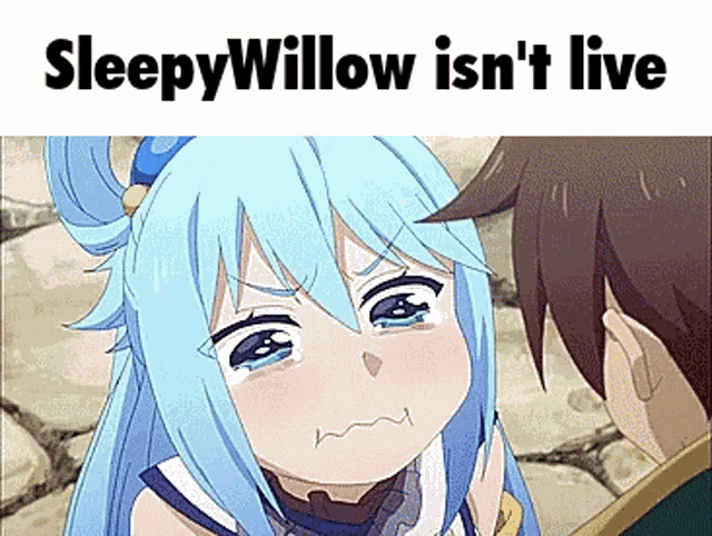 Sleepy Willow Aqua GIF