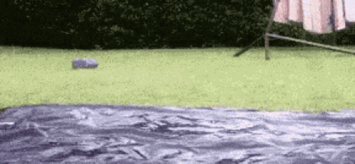 Slide GIF