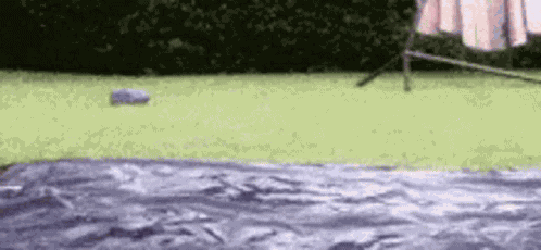Slidin Sliding GIF