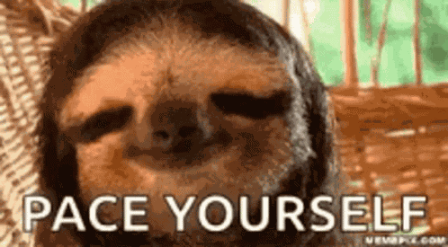 Sloth Pace Yourself GIF