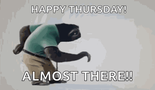 Sloth Walking Slow GIF