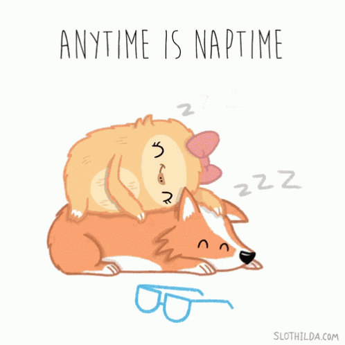 Slothilda Sloth GIF