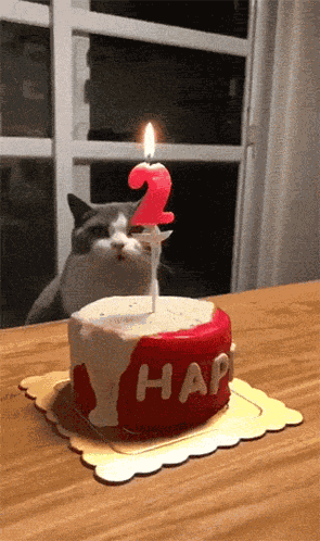 Smack Those Candles Nancy And Have A Happy Birthday GIF