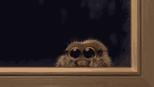 Small GIF
