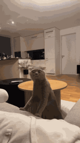 Smell Smelly GIF