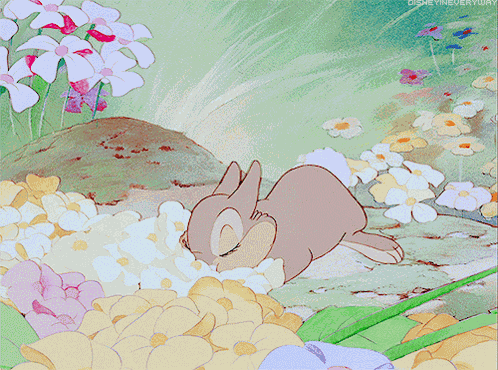 Smell The Flowers Aesthetic GIF