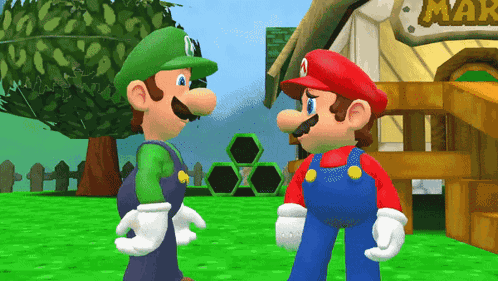 Smg4 Mario Bros GIF