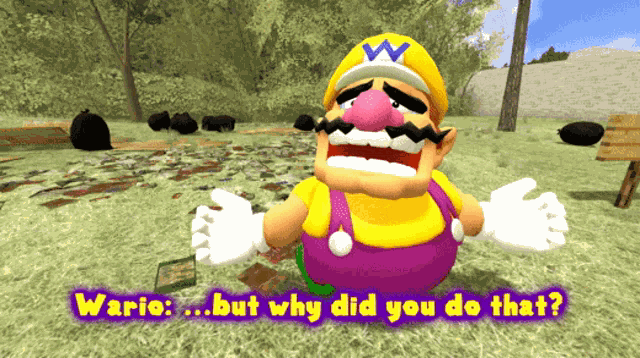 Smg4 Wario GIF
