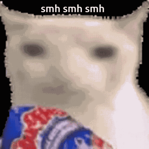 Smh Cat GIF
