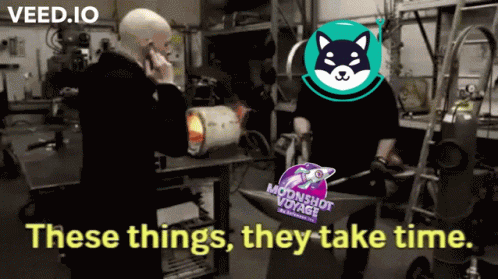 Smi Safemooninu GIF