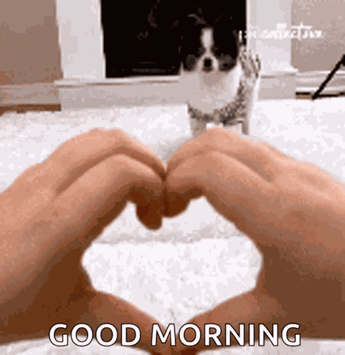 Smile Happy GIF