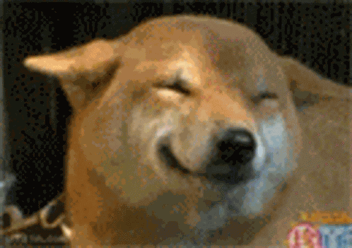 Smile Hello GIF