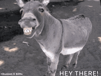 Smile Teeth GIF